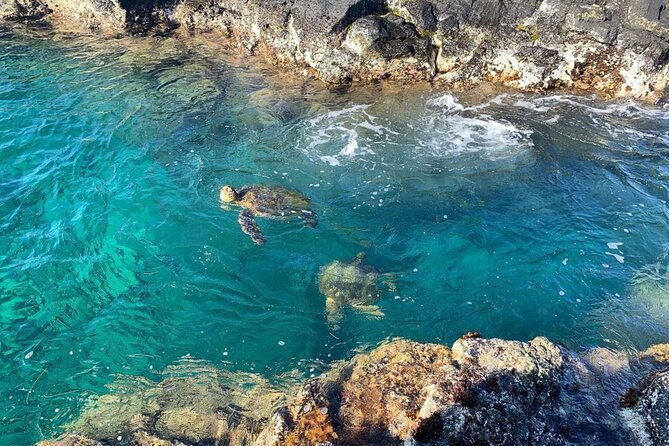 tropical-reef-wildlife-boat-snorkel-adventure