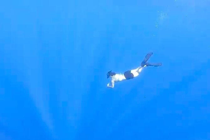 tropical-reef-wildlife-boat-snorkel-adventure