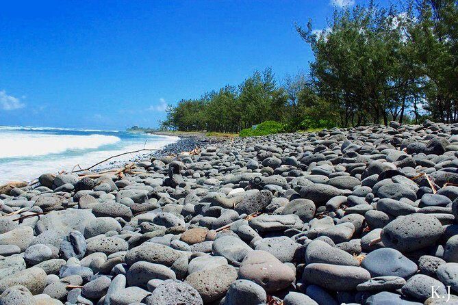 Tropical South West of Mauritius: Full-day All Inclusive tour (Visit to 3 parks) - Authenticity and Tips from Reviewers