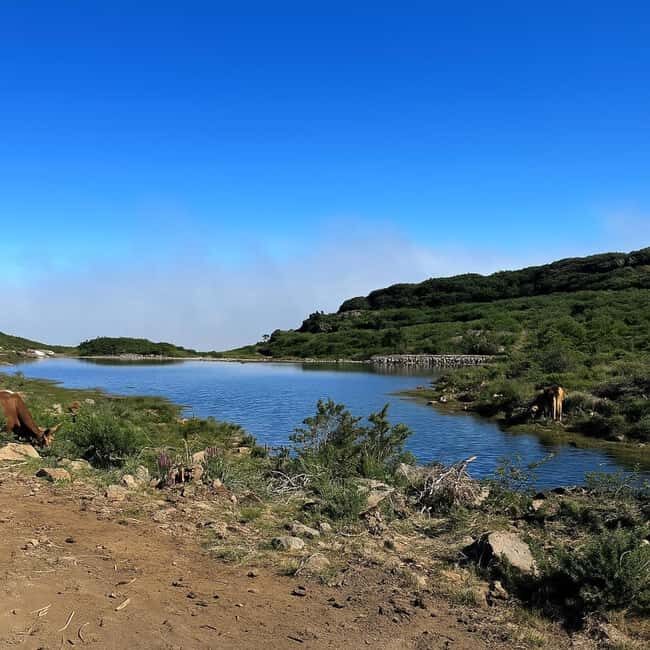 Tropical Tide, Porto Moniz & Fanal Forest 4WD Jeep Tour - FAQ