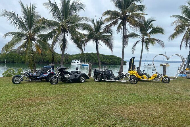 Tropical Trike Tours Port Douglas - Scenic Tour - Exploring Port Douglas on a Tropical Trike: An Authentic Scenic Adventure
