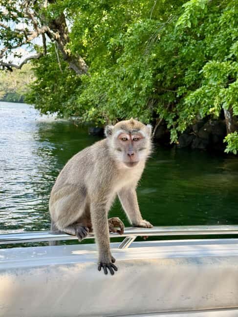 Trou D'Eau Douce: 5 island tour Mauritius with lunch/drinks - Who Should Consider This Tour?