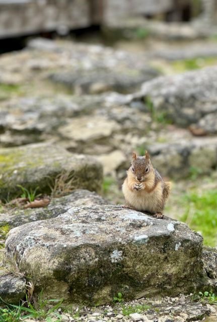 troy-full-day-tour-from-istanbul