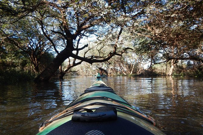 tru-kayak-cruise-along-the-majestic-uruguay-river