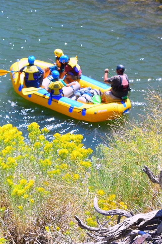 truckee-river-boca-to-floriston-run