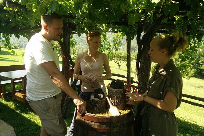 Truffle and wine / Taste of Istria from POREC, ROVINJ, PULA - Final impressions