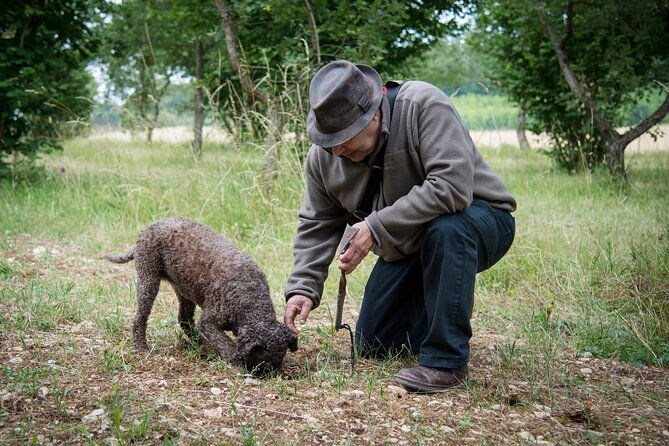 truffle-cavage-demonstration