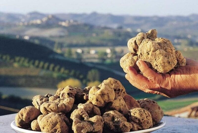 truffle-experience-from-naples-and-salerno
