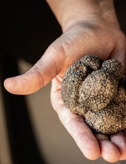 truffle-experience-from-naples-and-salerno