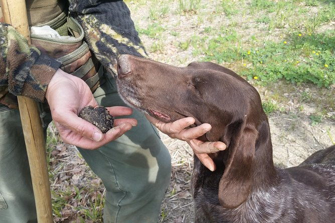 truffle-hunt-bio-lunch-in-assisi-2