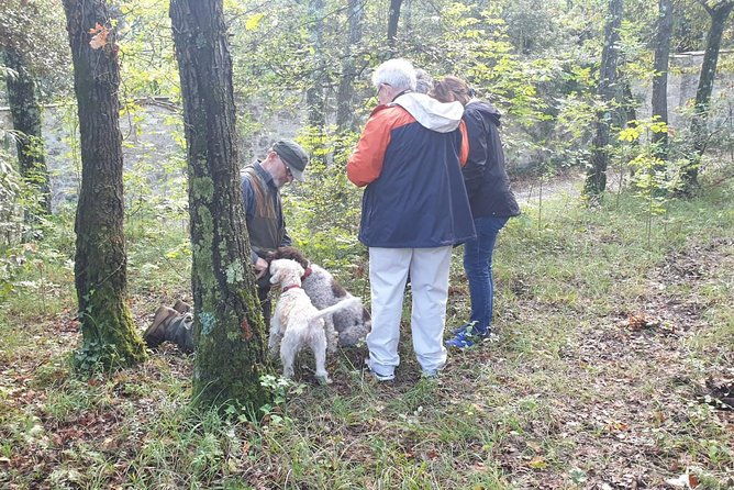truffle-hunt-lunch-horse-riding-a-top-half-day-near-florence