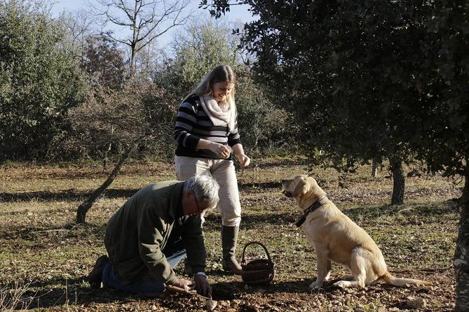 truffle-hunt-wine-tasting