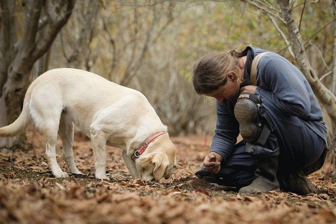 truffle-hunt-wine-tasting