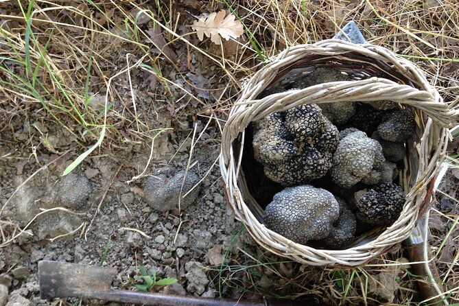 truffle-hunting-and-handmade-pasta-in-ascoli-piceno