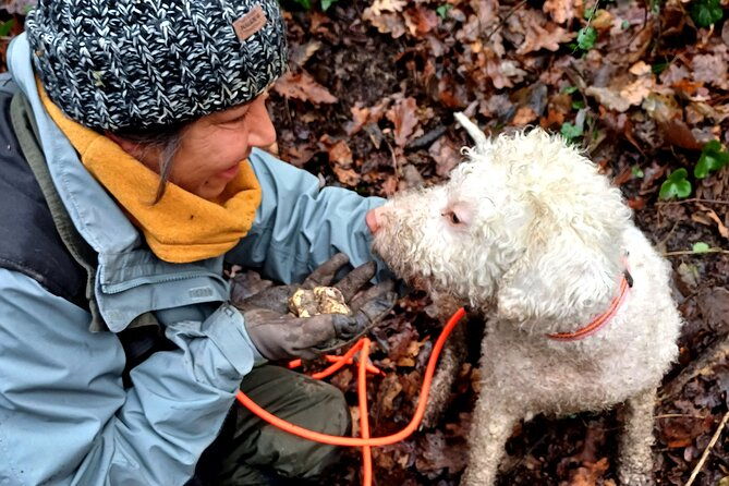 truffle-hunting-and-lunch-in-piedmont-trattoria