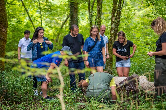 Truffle hunting & cooking tour - Who’s This Tour Best For?