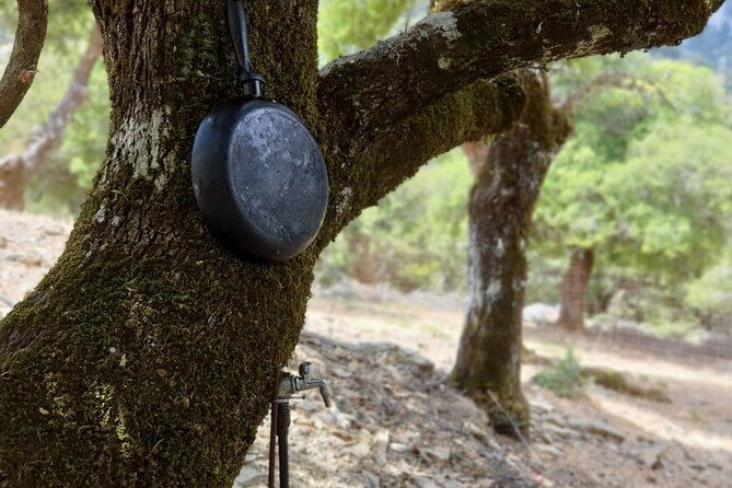 truffle-hunting-culinary-wine-celebration-from-elounda
