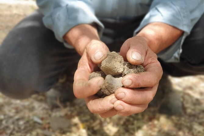 truffle-hunting-culinary-wine-celebration-from-elounda