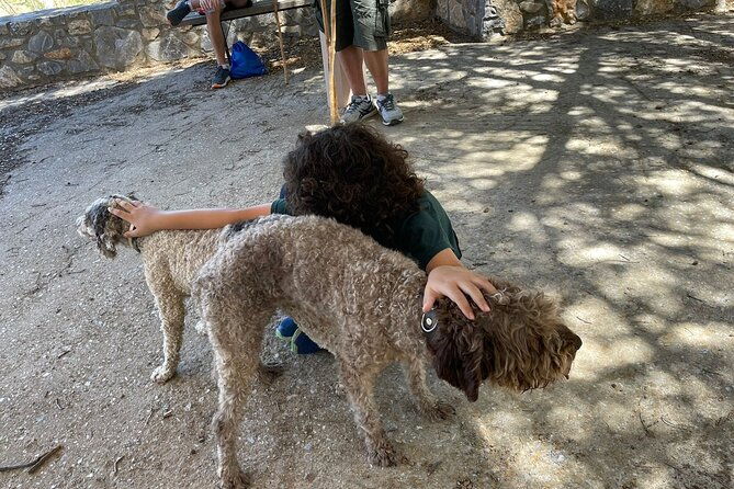 truffle-hunting-culinary-wine-celebration-from-elounda