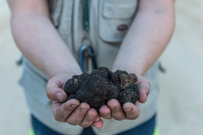 truffle-hunting