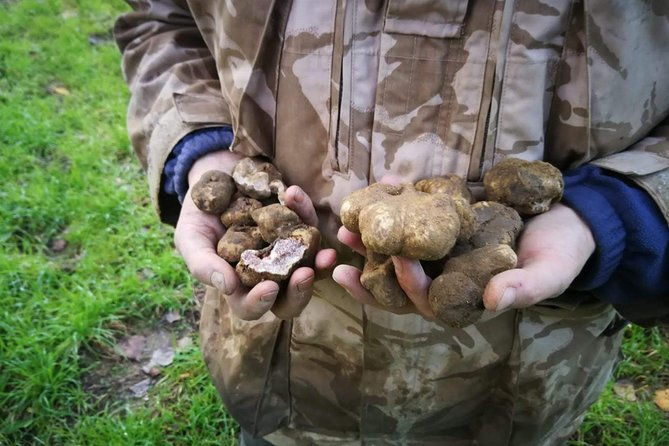truffle-hunting