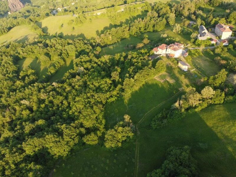 truffle-hunting-experience-near-parma-with-our-dogs