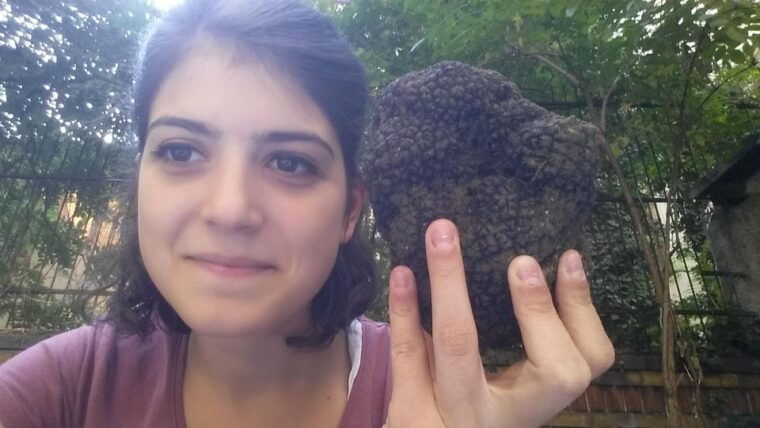 truffle-hunting-experience-near-parma-with-our-dogs