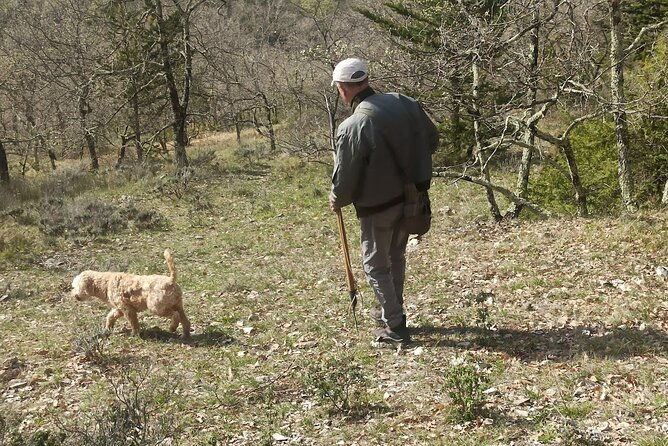 truffle-hunting-experience-with-lunch-and-chianti-wine-tasting
