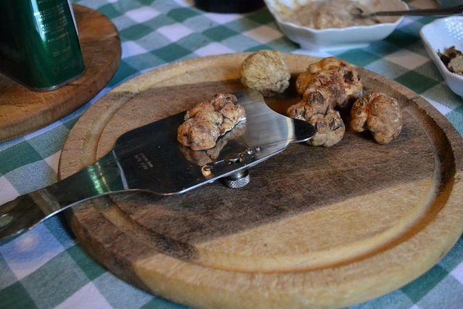 truffle-hunting-experience-with-lunch-in-san-miniato