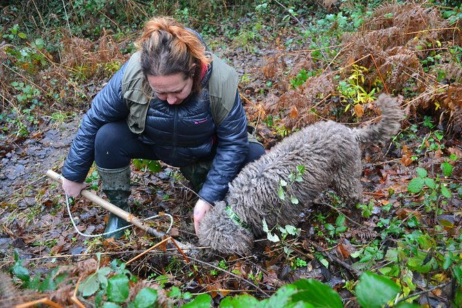 truffle-hunting-experience-with-lunch-in-san-miniato