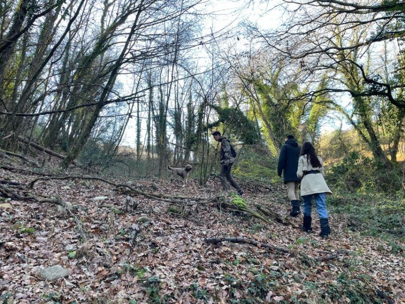 truffle-hunting-in-chianti-with-pasta-cooking-class-lunch