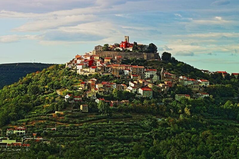 truffle-hunting-in-istria-private-experience