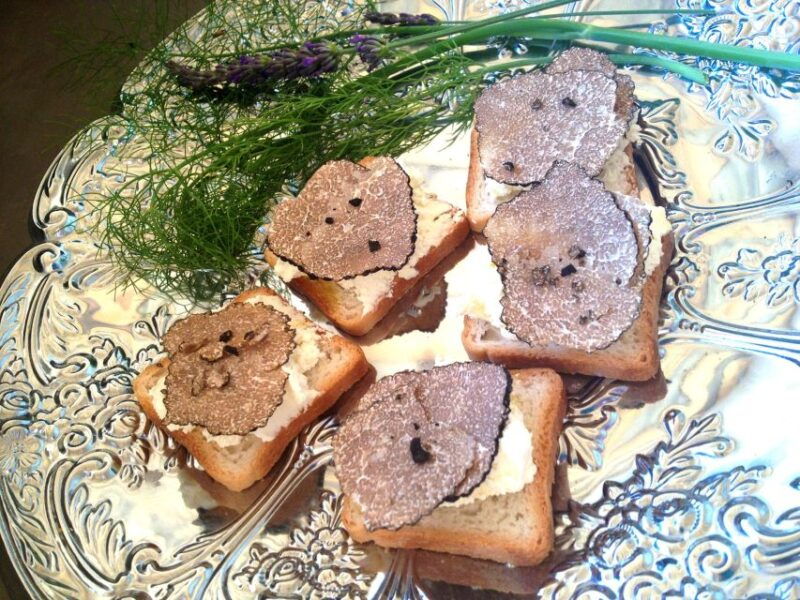 truffle-hunting-in-provence-2