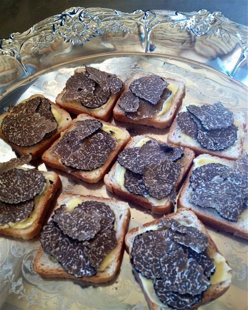 truffle-hunting-in-provence-2