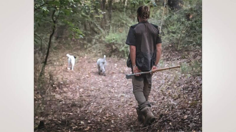 truffle-hunting-in-san-gimignano-2