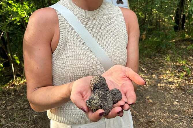 truffle-hunting-in-san-gimignano