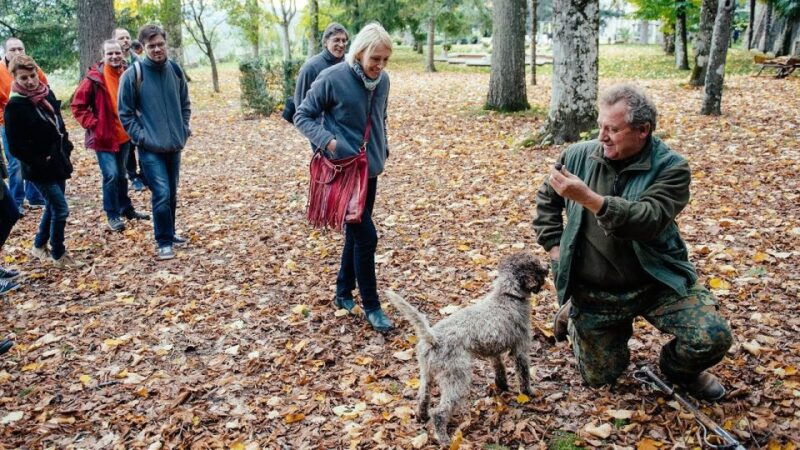 truffle-hunting-in-the-hills-of-tuscany