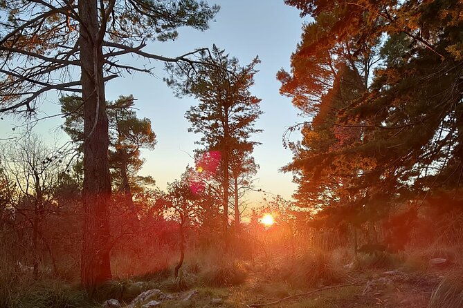 truffle-hunting-in-the-sicani-mountains-a-unique-experience-in-sicily