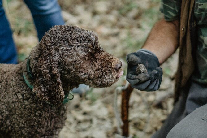 truffle-hunting-in-tuscany-2