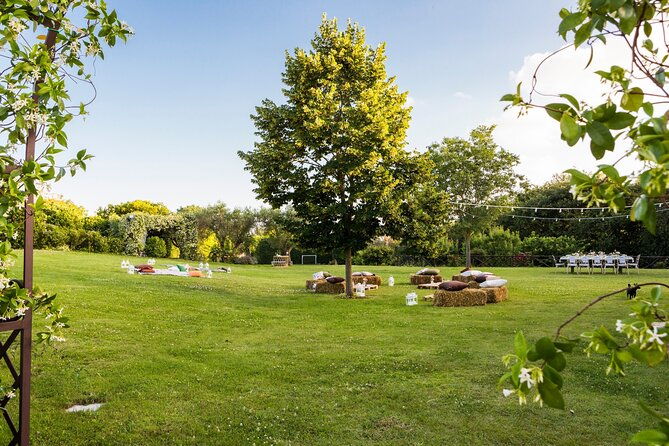 truffle-hunting-lunch-cooking-class-in-romes-countryside-3