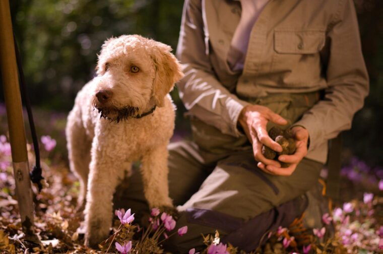 truffle-hunting-lunch-cooking-class-in-romes-countryside-5