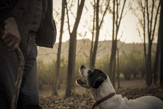 truffle-hunting-wine-tasting-in-istria-private-v-i-p-tour