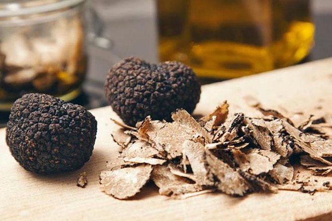 truffle-hunting-wine-tasting-in-istria-private-v-i-p-tour