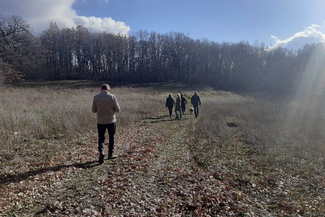 truffle-hunting-with-food-tasting-3