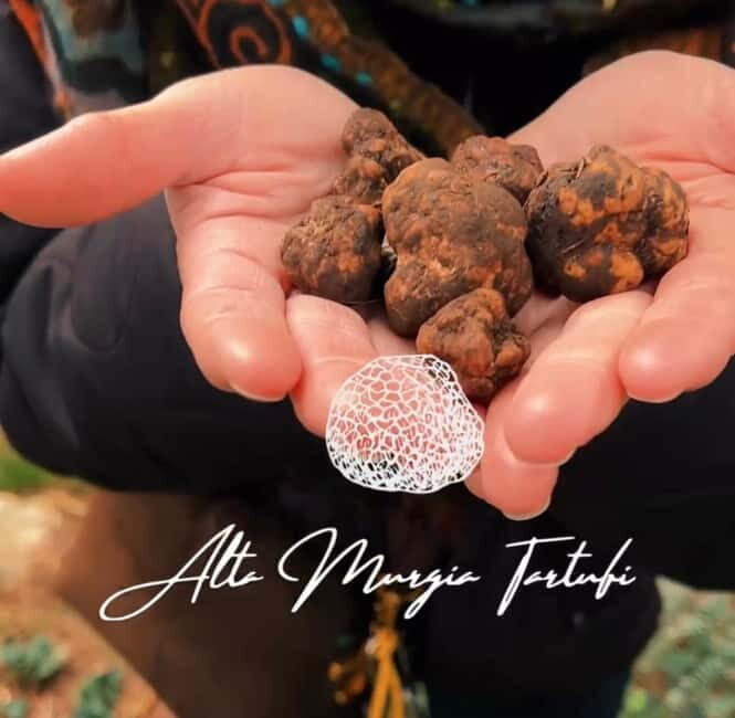 Truffle hunting with tasting in Alta Murgia - An In-Depth Look at the Truffle Hunting Experience