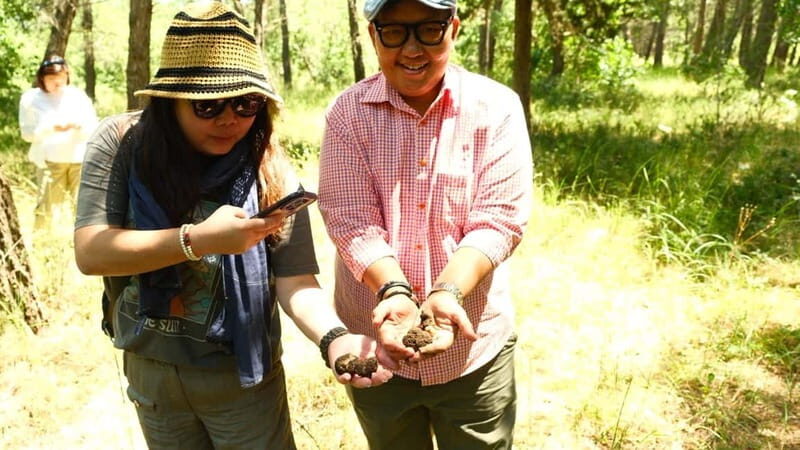 Truffle hunting with tasting in Alta Murgia - FAQs