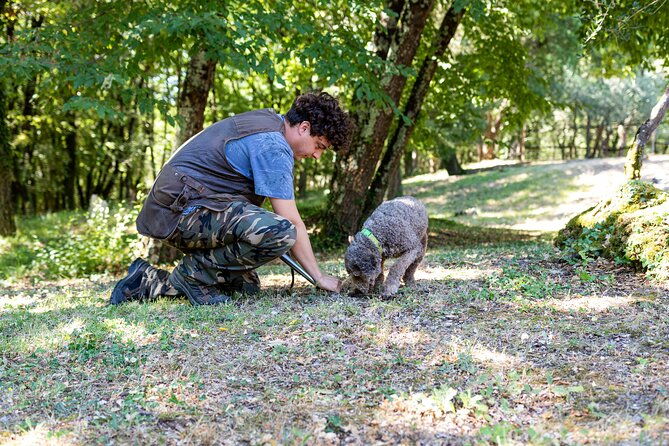 truffle-lunch-hunting-experience-in-san-gimignano
