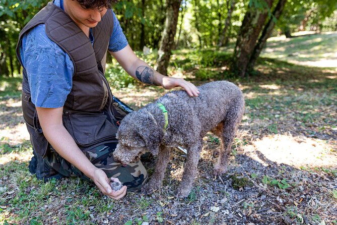 truffle-lunch-hunting-experience-in-san-gimignano