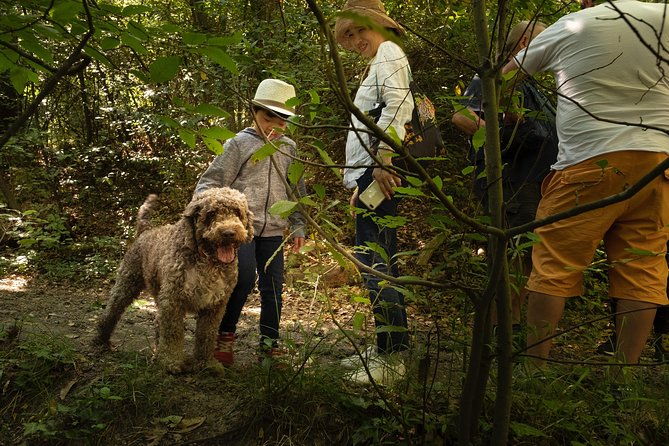 truffle-picking-experience-with-3-course-lunch-in-chianti-hills
