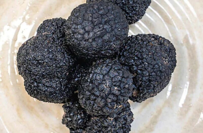 Truffle Tasting & Museum Tour in Umbria, near Perugia - A Closer Look at the Experience